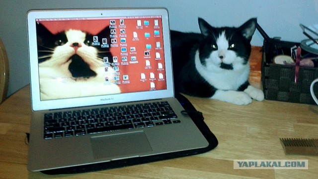 Почистил телефон