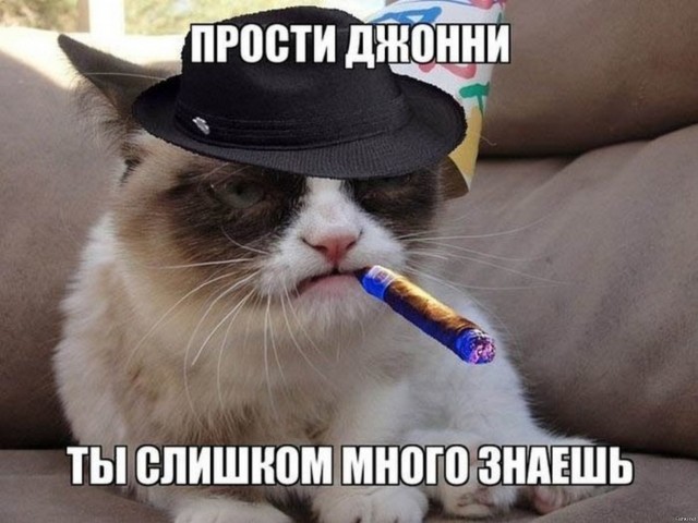 СМИ пишут, что в Москве полицейские задержали шизика, который сошел с ума и начал называть себя Вовой Адидасом