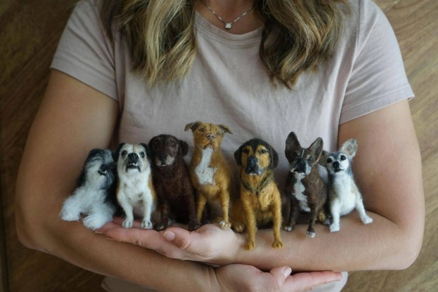 Подборка интересных и веселых картинок 13.02.24