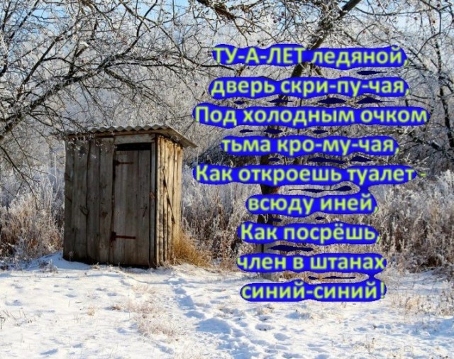 Музыкальный руководитель