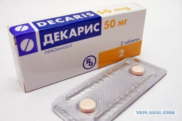 Кого выберет мужчина, если другого выбора нет: слишком худую или слишком толстую