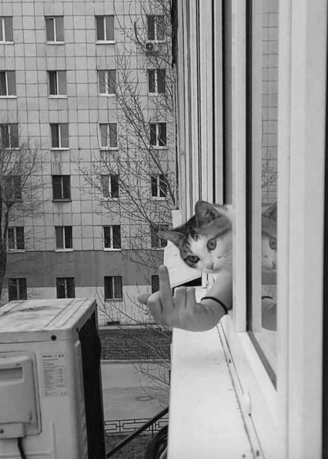ФотоВинегрет