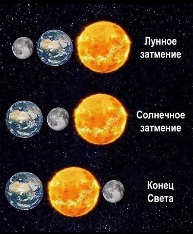 Весёлый полтишок 10.07.24
