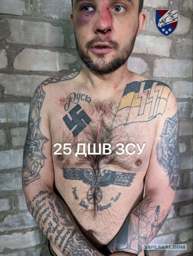 Они вернулись домой