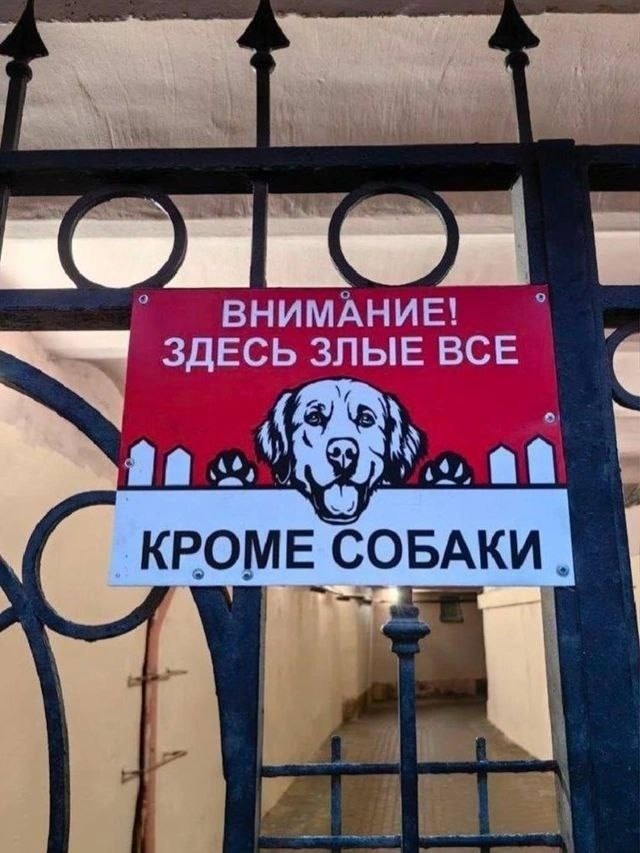 Нуштош 08.08.2024