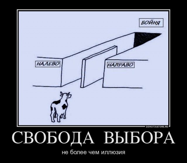 Выбросивший из окна жену с годовалым ребёнком Александр Липатов сошёл с ума из-за постоянного стресса на работе и размышлений о том, как систематизировать свои мысли и свою жизнь.