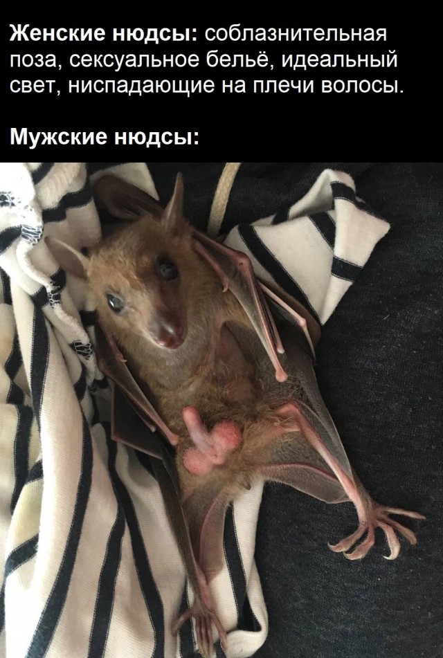 Пошлятина