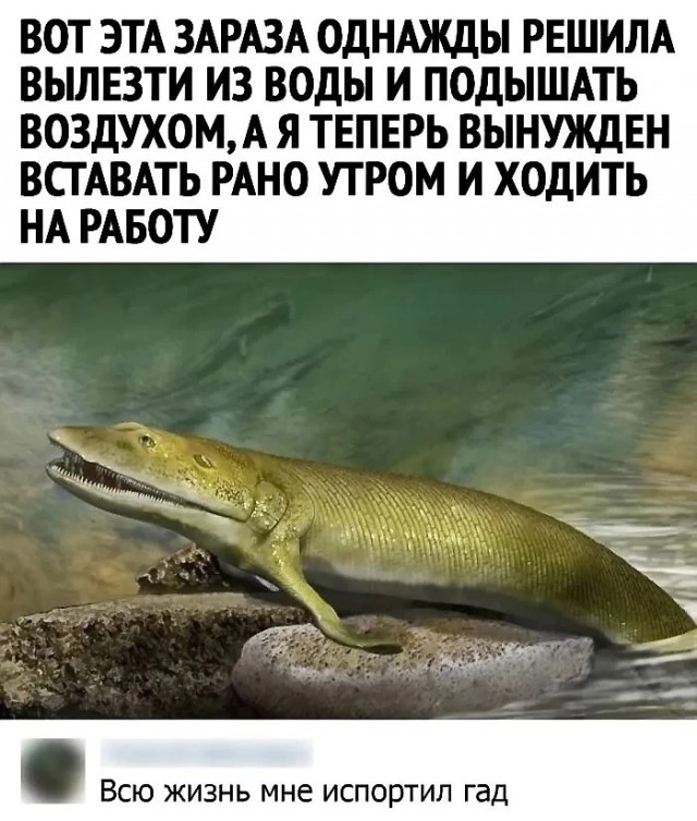 Завалялось тут случайно немного забавных картинок