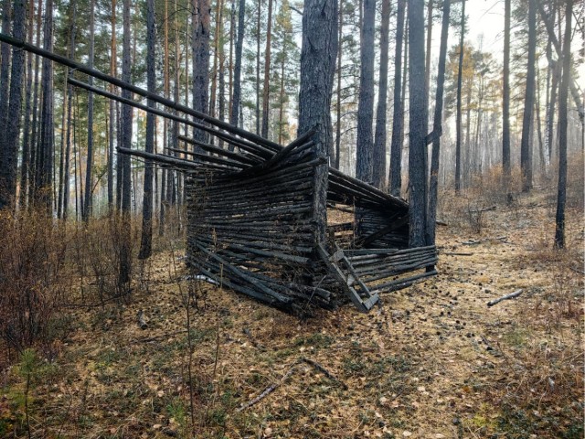 Тайга: Три страшные истории