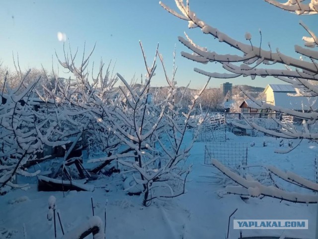 Литературная беседка v.1