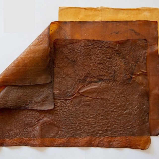 Зумеры начали делать одежду из чайного гриба.