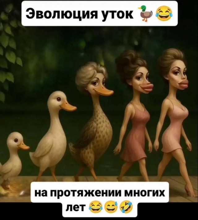 Завалялось тут случайно немного забавных картинок