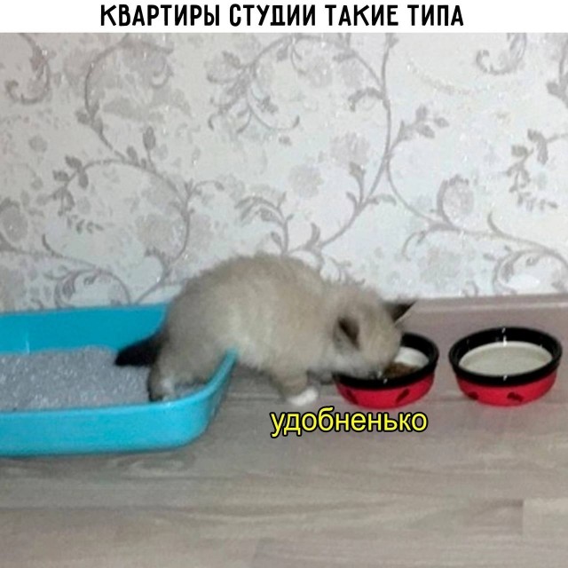 Картинки разные