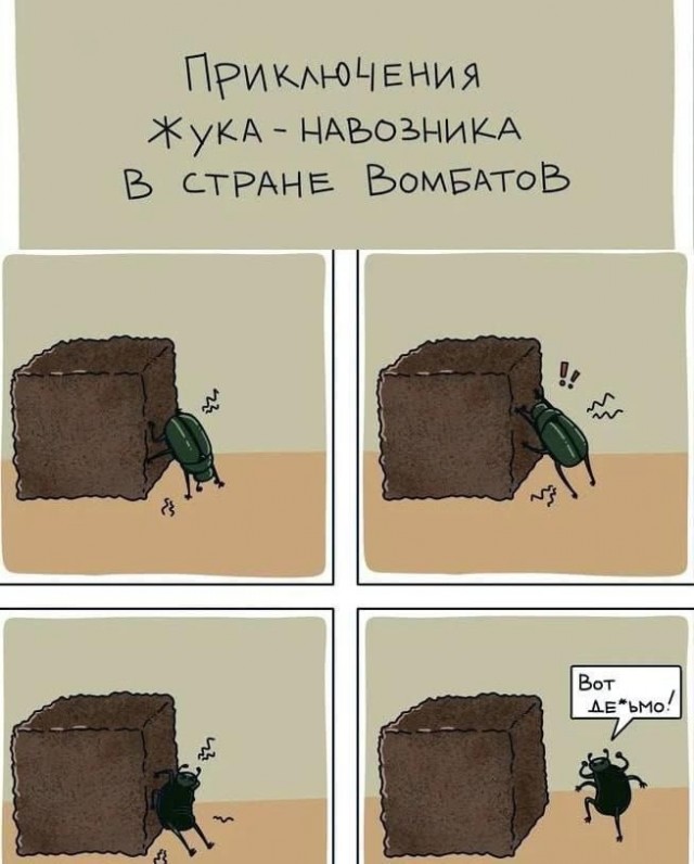Нуштош 27.08.2025. Когнитивный декаданс (s4e8)