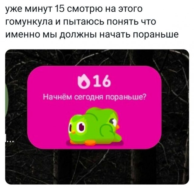 Так себе картинки 17.09.25