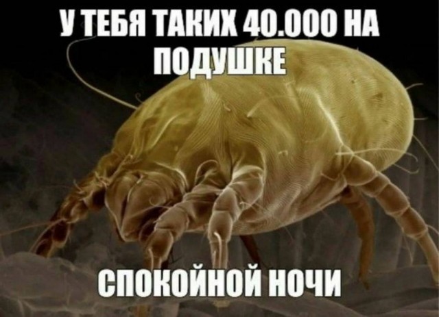 Немного картинок