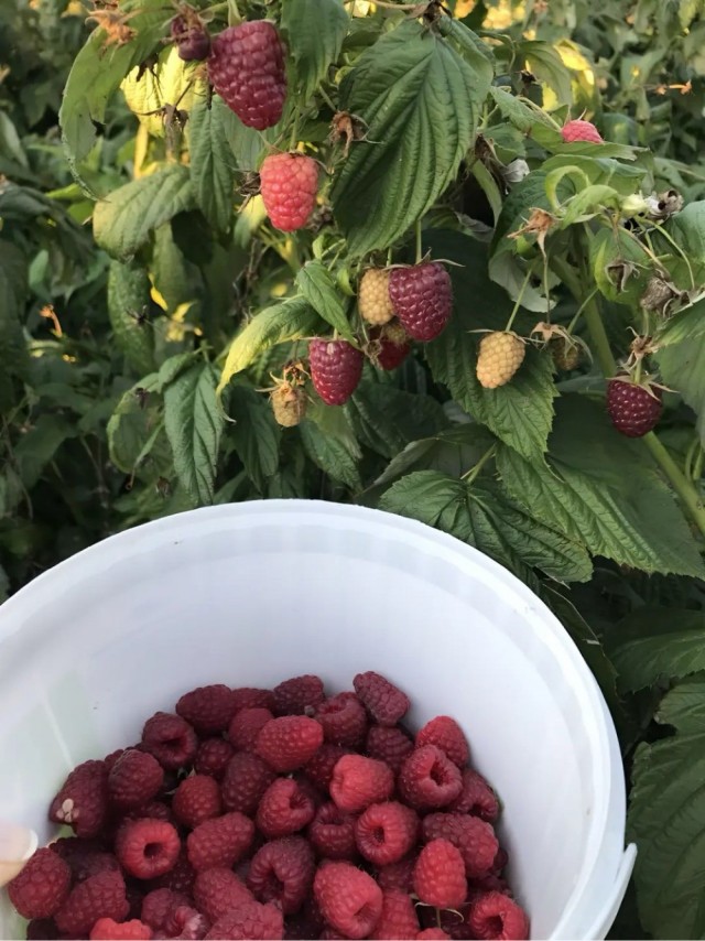 Провожаем лето