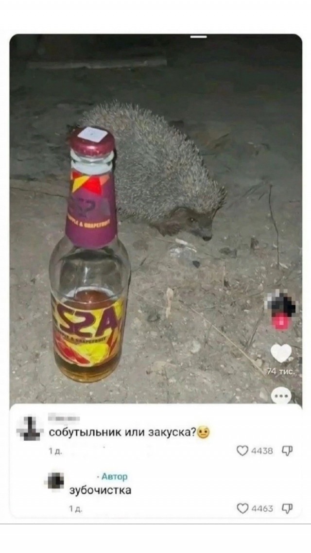 Субботние картинки