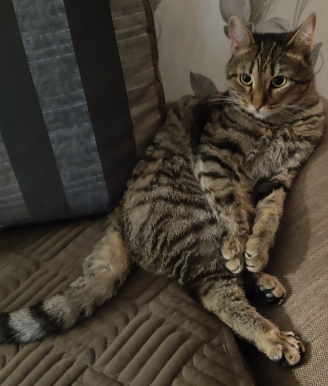 Ну начнемс ...!