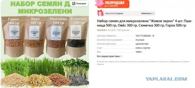 Выращивать огурцы на подоконнике посоветовали россиянам в Госдуме.