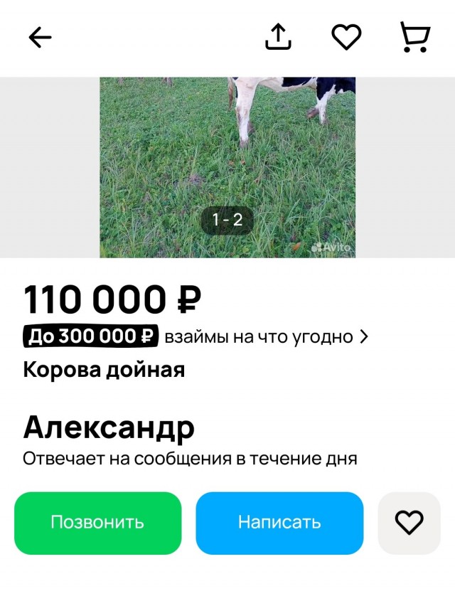 В Новосибирске названа сумма компенсации за принудительный убой изъятого скота