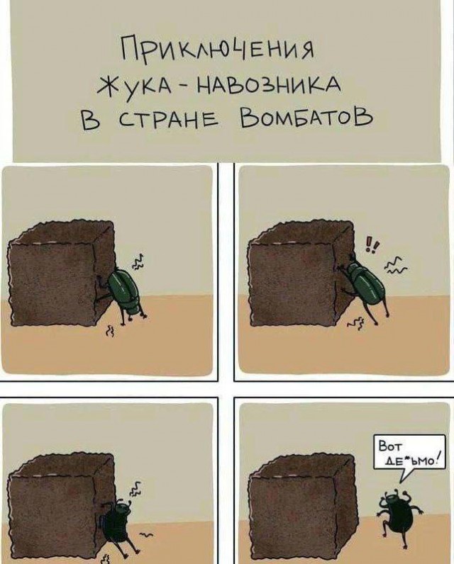 Картинки для деградации 162 (разной степени свежести)