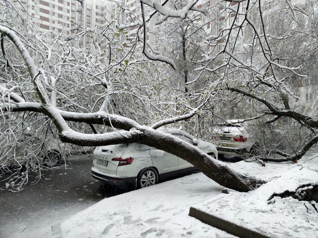 Утро в Москве