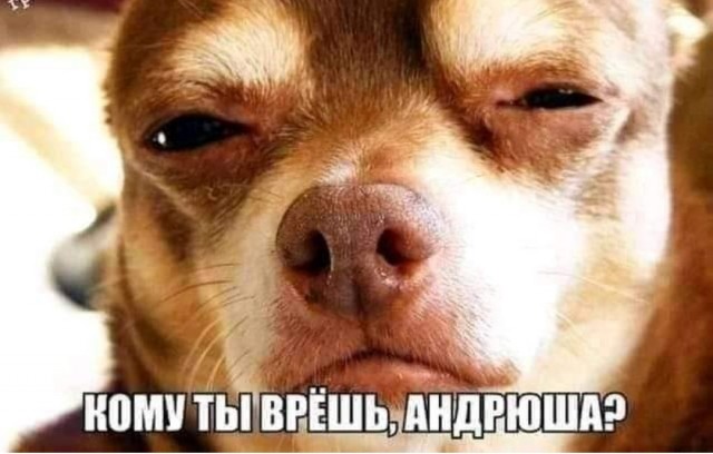 А ведь правда