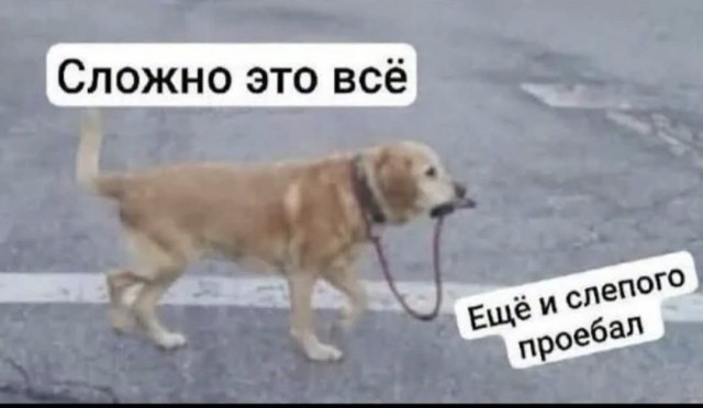 Картинки воскресные