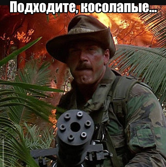Медведь умный, опасный и всегда голодный.
