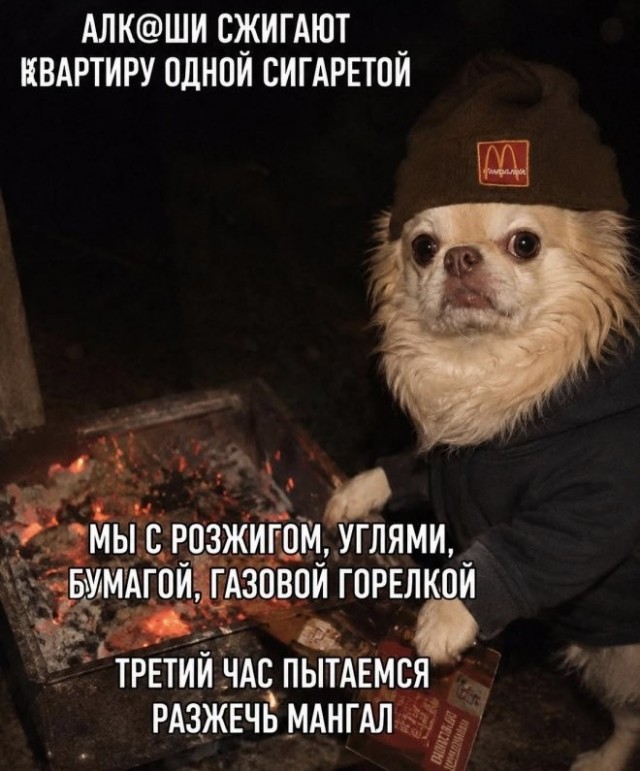 Веселые картинки в пятницу (25.09)