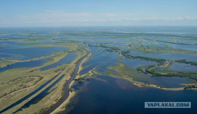 27 причин взять место у окна