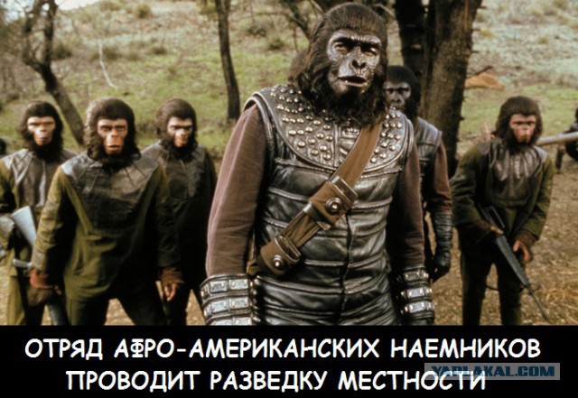Бабай: американцы к нам лезут, мы поймали негра