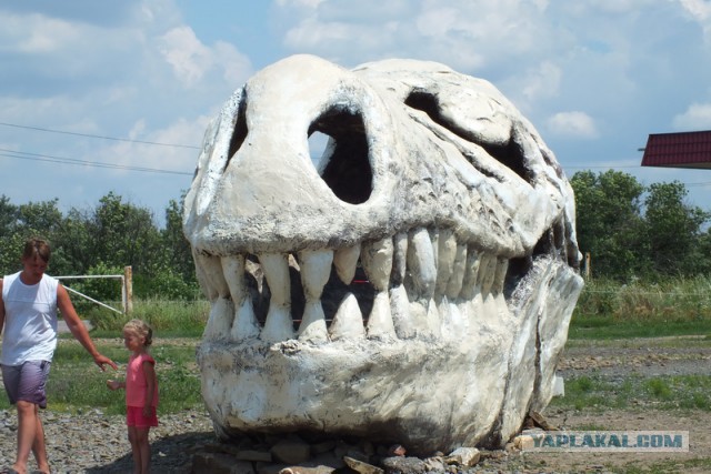 Поездка на Чёрное море. 2014. п. Дедеркой