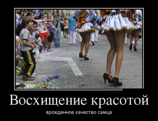 Веселое из сети