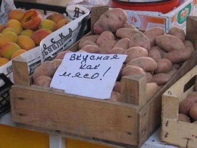 Умом Россию не понять