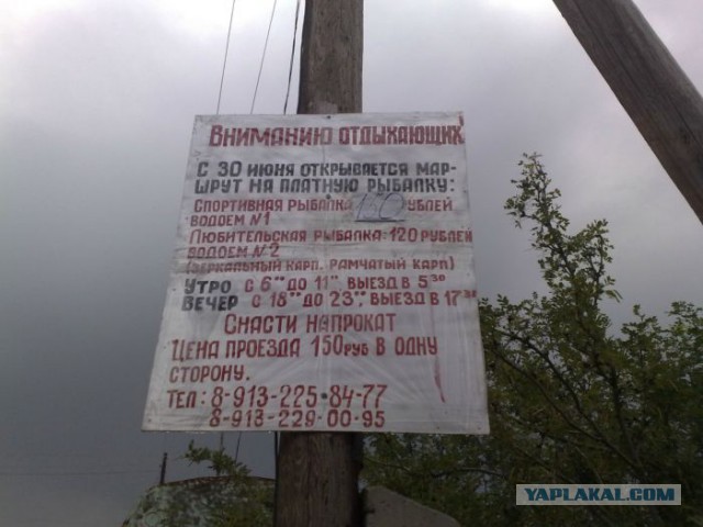 Прикольные объявления и надписи