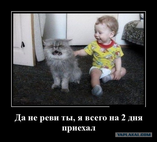 Картинки разные