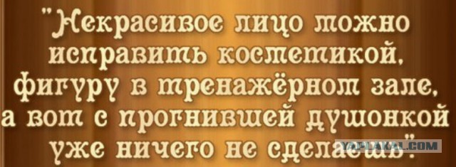 Три копейки и путинский режим
