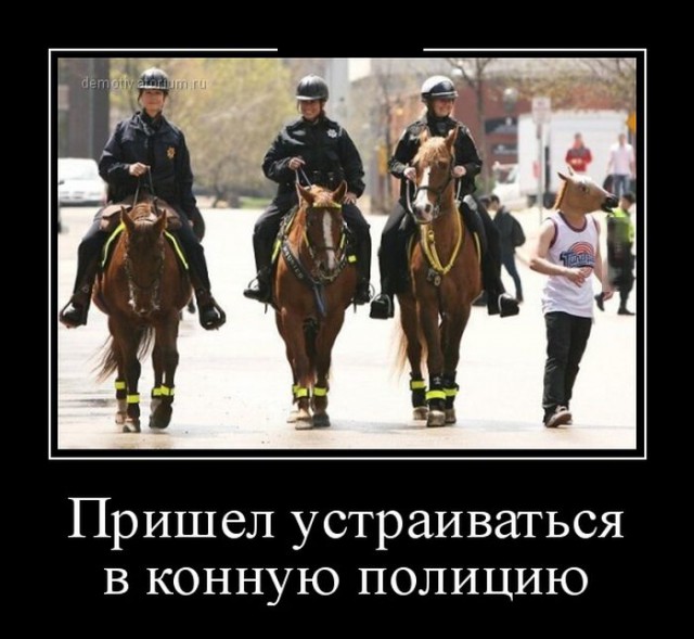 Немного демотиваторов