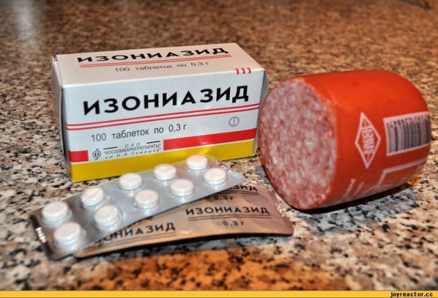 Как воруют собак на улицах Пном Пеня