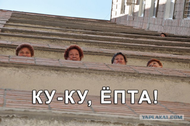 Весёлые картинки