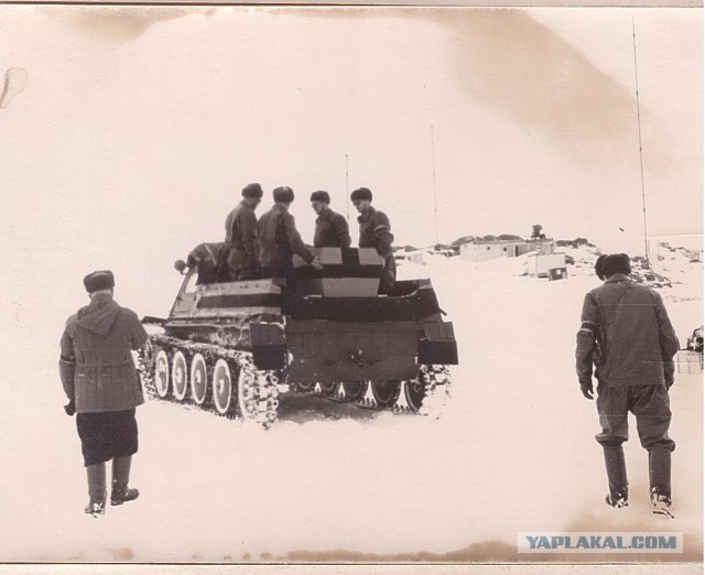 Харьковчанка