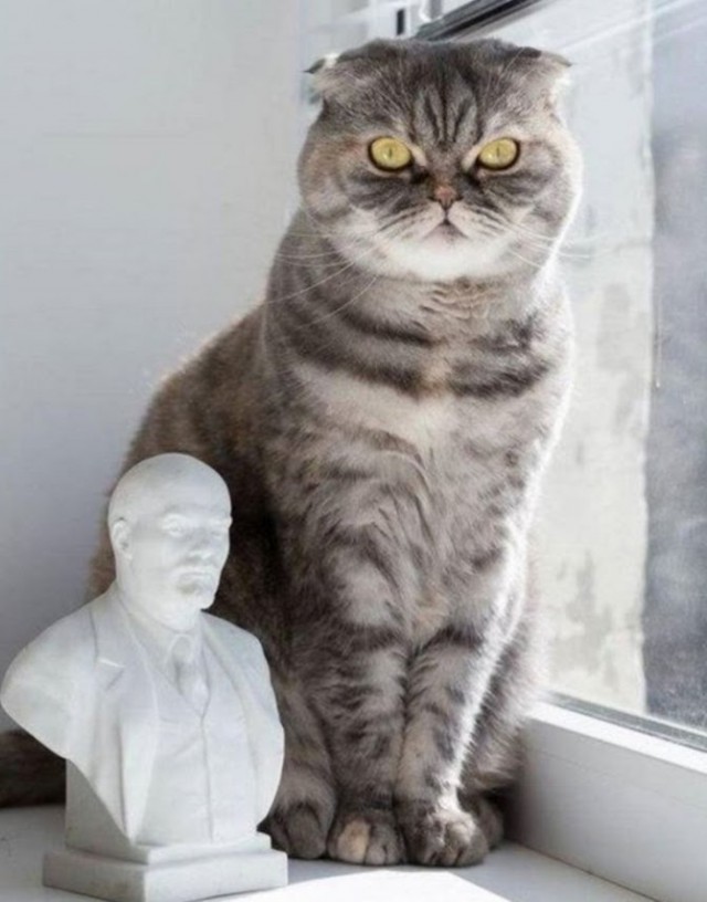 С днем рождения, вождь!