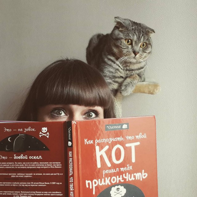 Ученые доказали - Котэ умне! Котэ всё понимат!