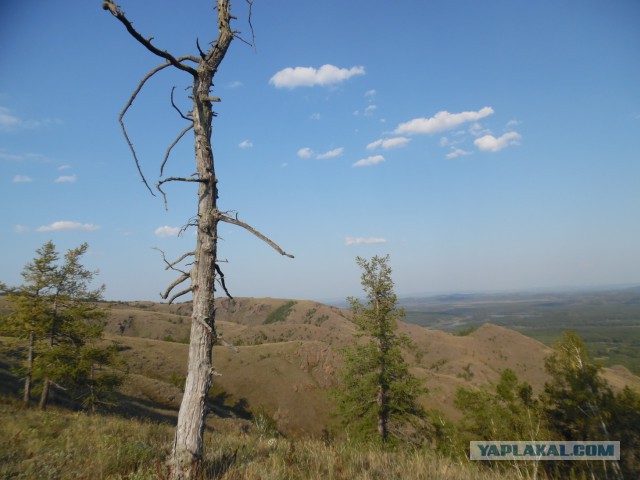 Зарница для старперов