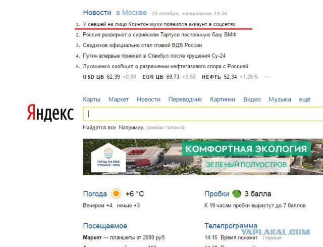 У мухи, севшей на бровь Клинтон, появился аккаунт в Twitter