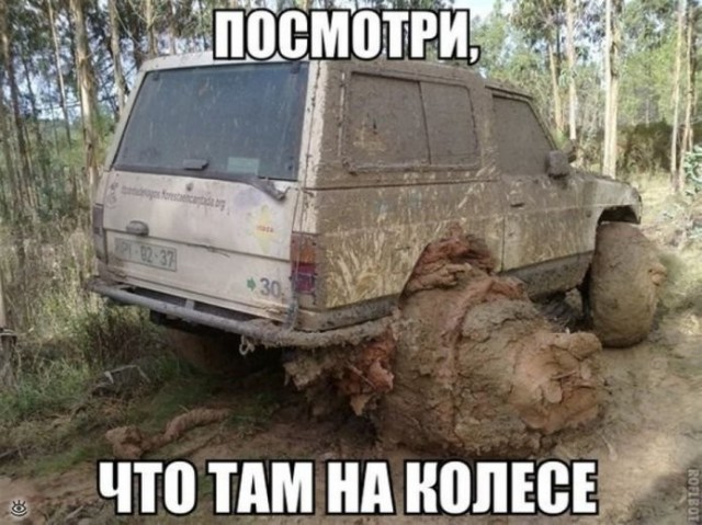Картинки с текстом на автомобильную и околоавтомобильную тематику