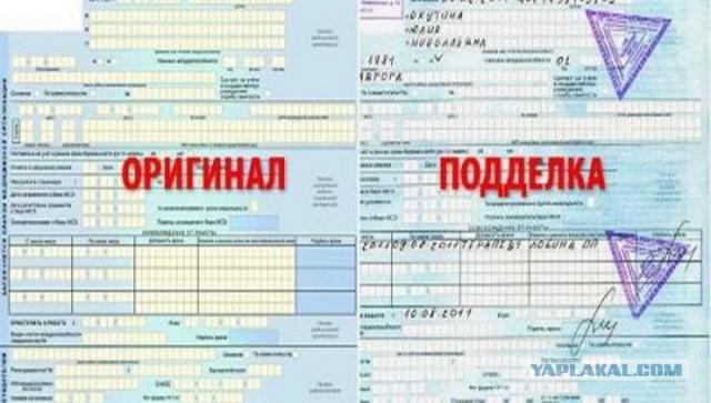 Маре Багдасарян грозит уголовное дело за подделку документов