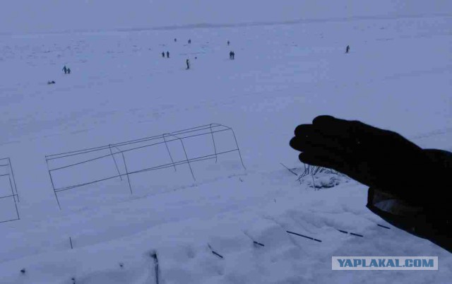 Кто "подарил" китайцам нашу землю